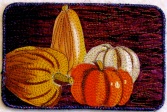 Sara Kelly, pumpkins & gourds