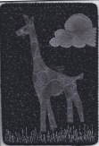 Lauren, Giraffe